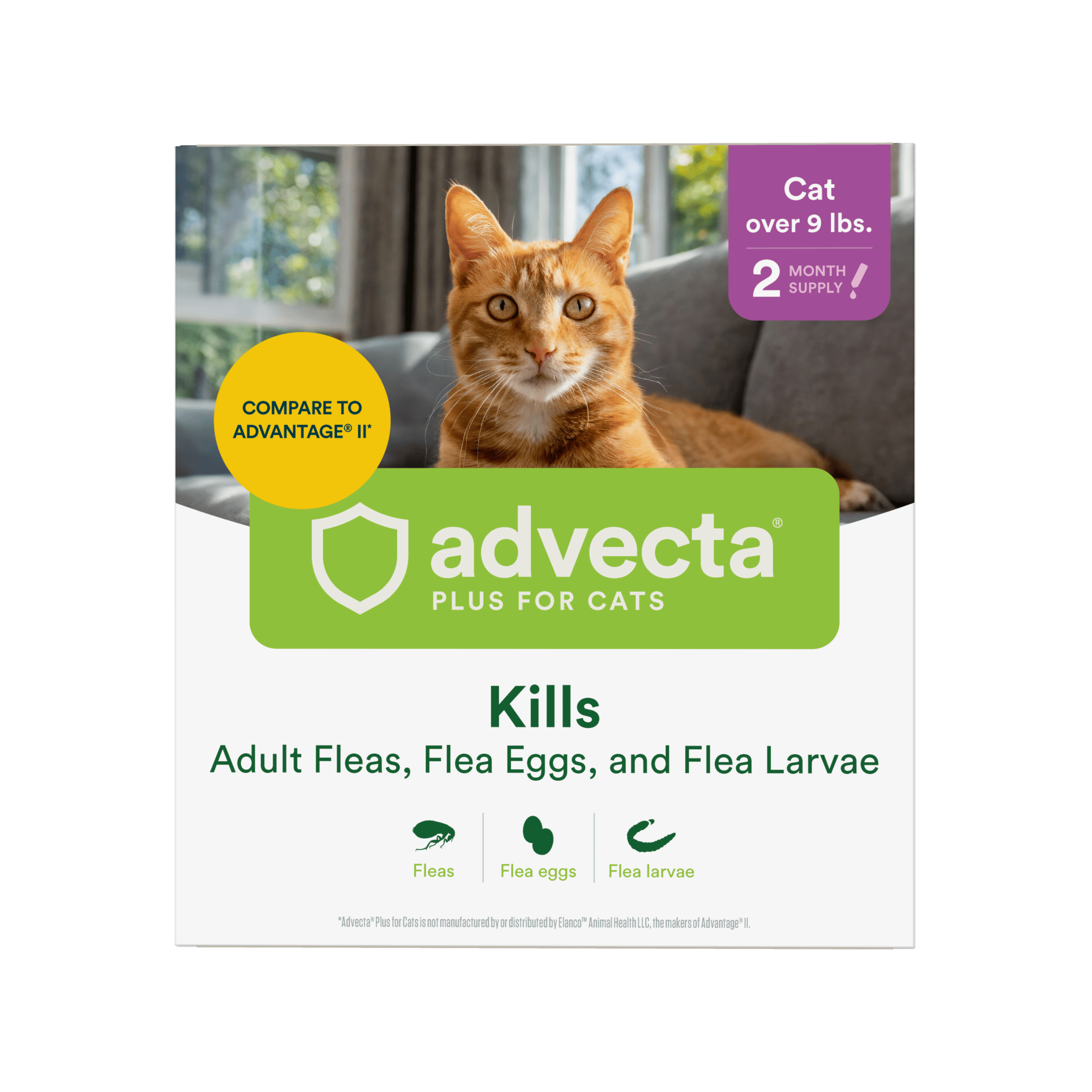 Advecta® Plus for Cats