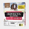 Advecta 3 clearance for dogs