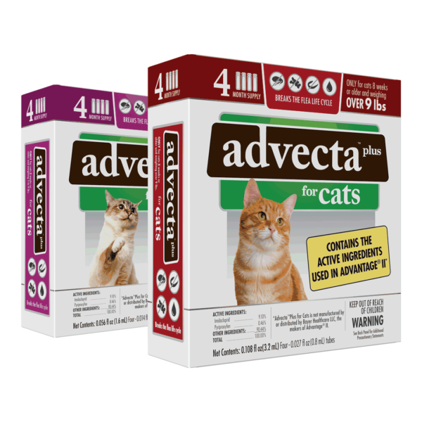 Advecta Plus for Cats (family image, new packaging)